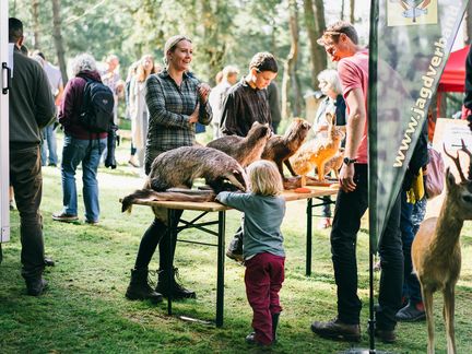 Stand beim Naturerlebnistag