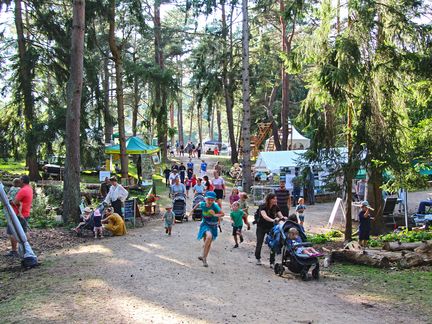 Familien auf Waldweg